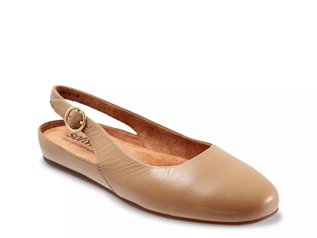 Dsw softwalk 2025