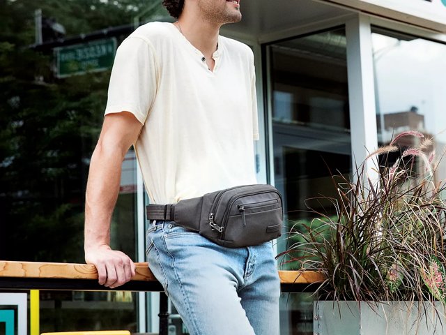 Fanny best sale pack dsw