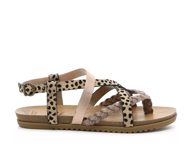 Dsw blowfish sale