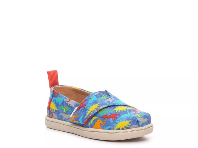 Toms baby 2025 boy shoes