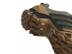 Shoes: Women's, Men's u0026 Kids Shoes from Top Brands | DSW