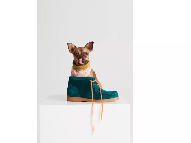 Hush puppies shop pomeranian high boot