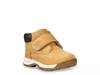 Timberland 2025 timber tykes