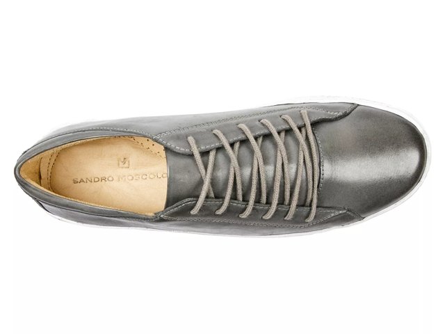 Sandro Moscoloni Major Sneaker Free Shipping DSW