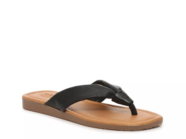 Coach and Four Pappagallo Sandal