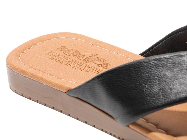 Coach and Four Pappagallo Sandal - Free Shipping | DSW