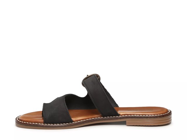 Dsw coach and four deals