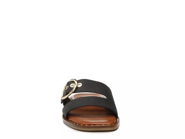 Coach flip flops dsw store