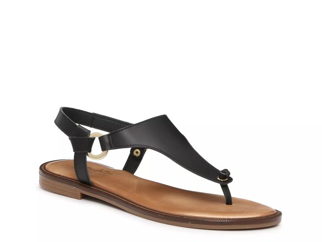 Coach flip flops dsw sale