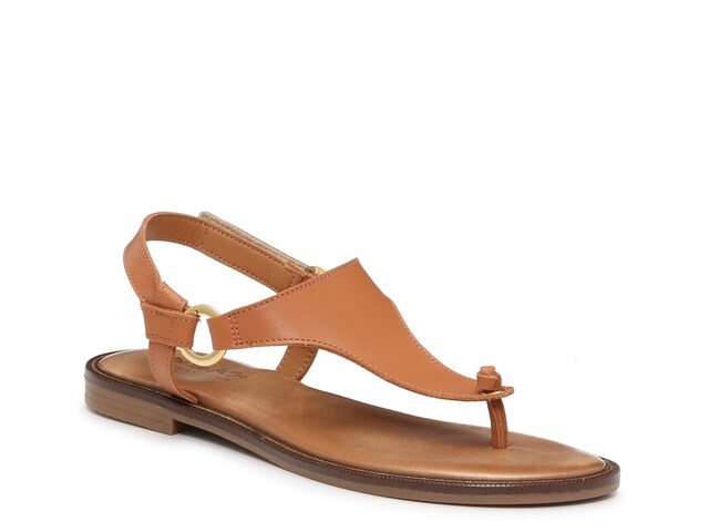 Coach and Four Falco Sandal | DSW