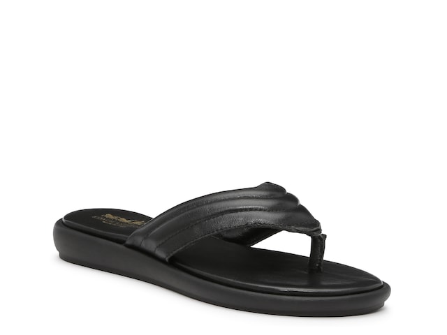 Coach and Four Pernice Sandal - Free Shipping | DSW