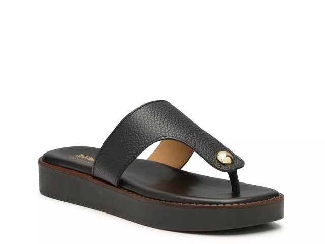 Coach flip flops dsw best sale