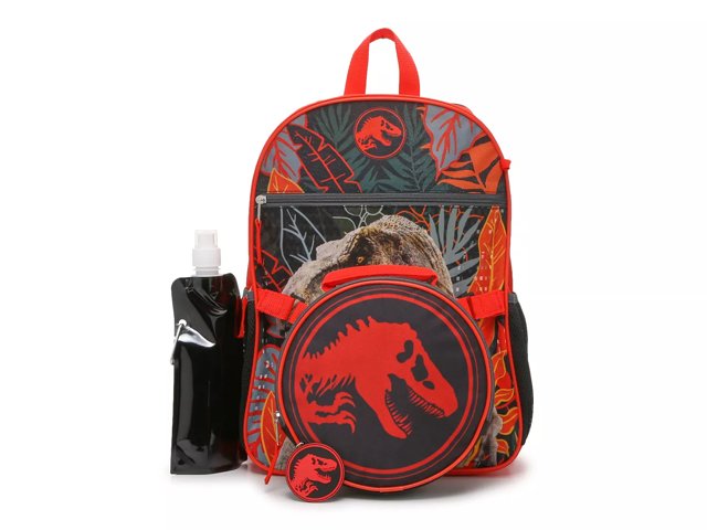 Dsw backpack free cheap