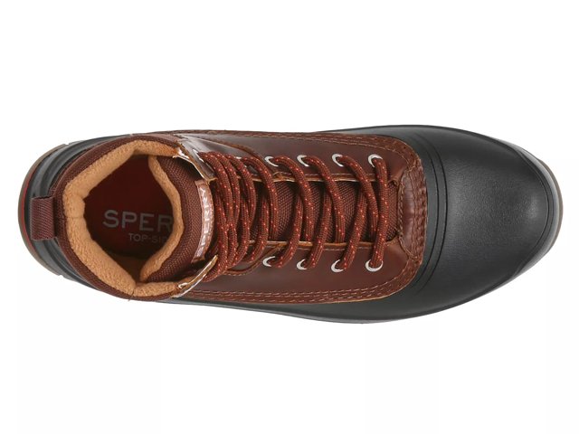 Sperry winter store boots dsw