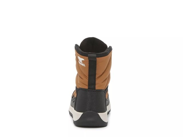 Dsw sorel whitney hotsell