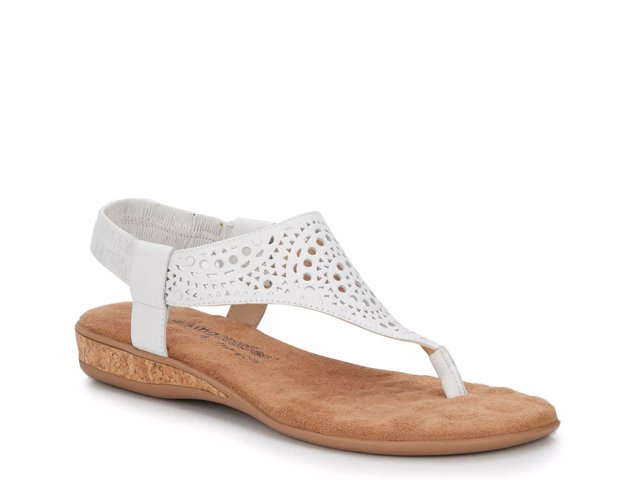Dsw walking cradles sale