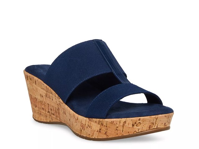Dsw navy top wedge sandals