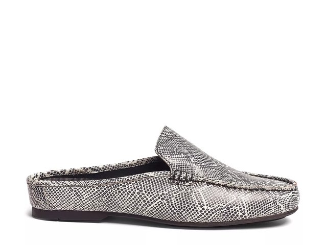 Dsw clearance carlos santana