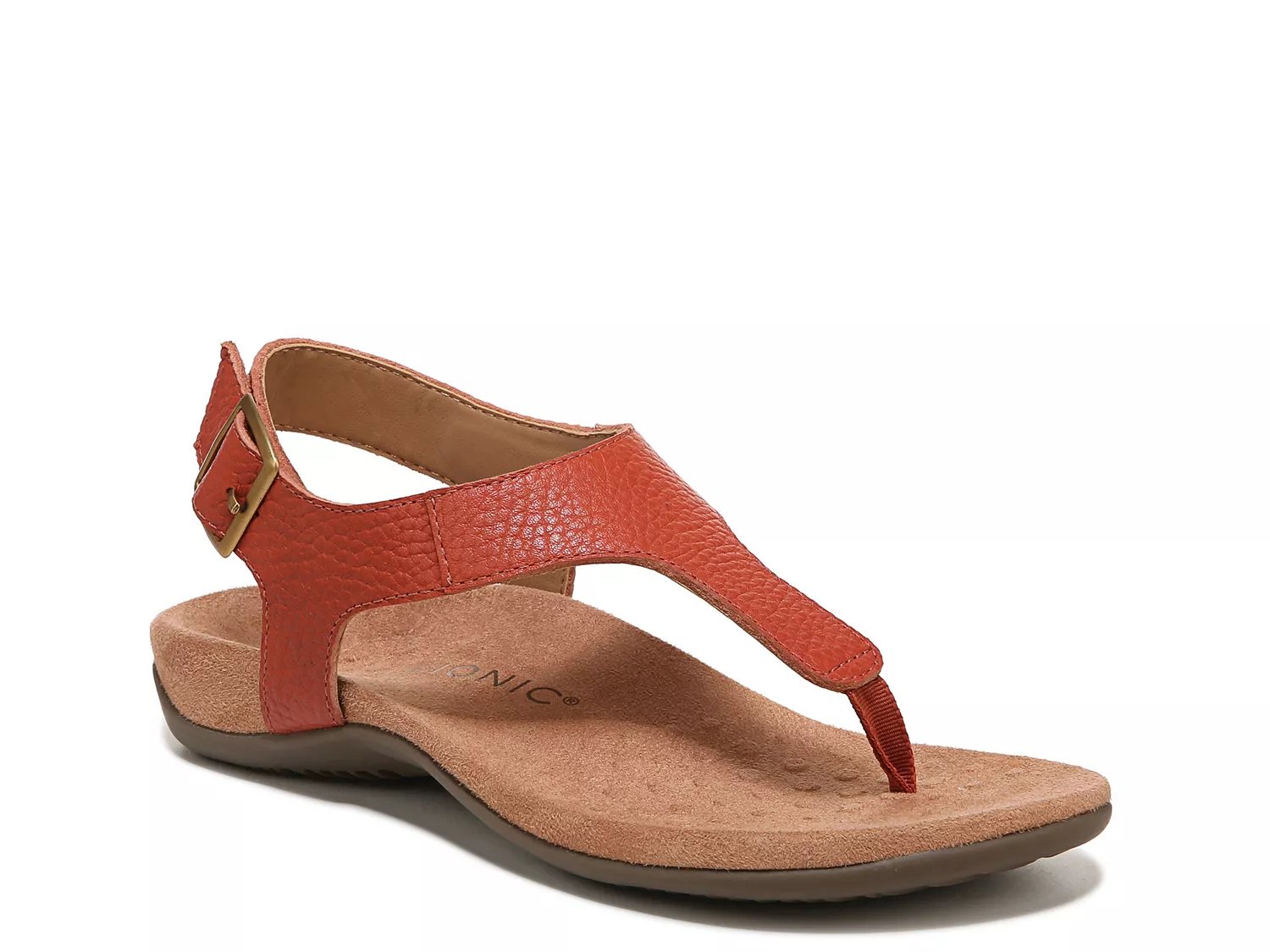 Vionic Terra Sandal Free Shipping DSW