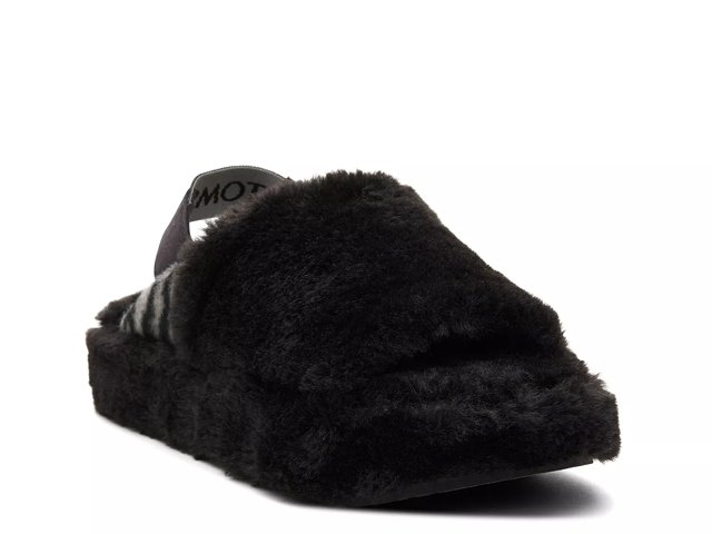 Dsw toms sales slippers