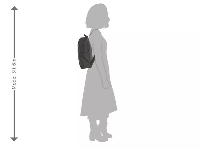 Dsw free shop backpack 2019