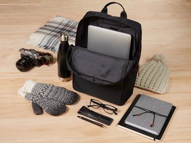 Dsw backpack purse outlet