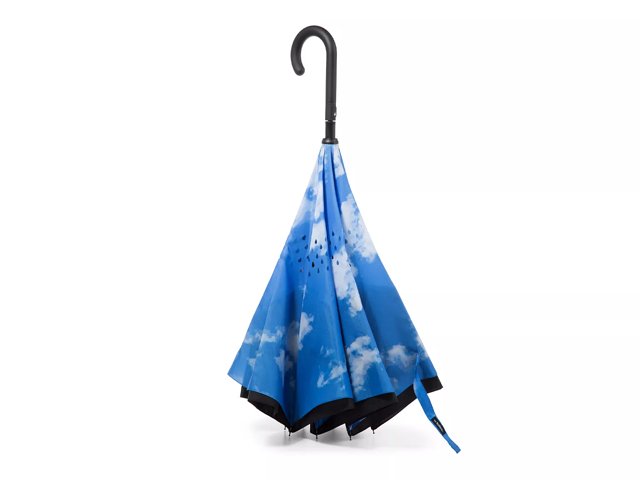 Dsw free umbrella sales