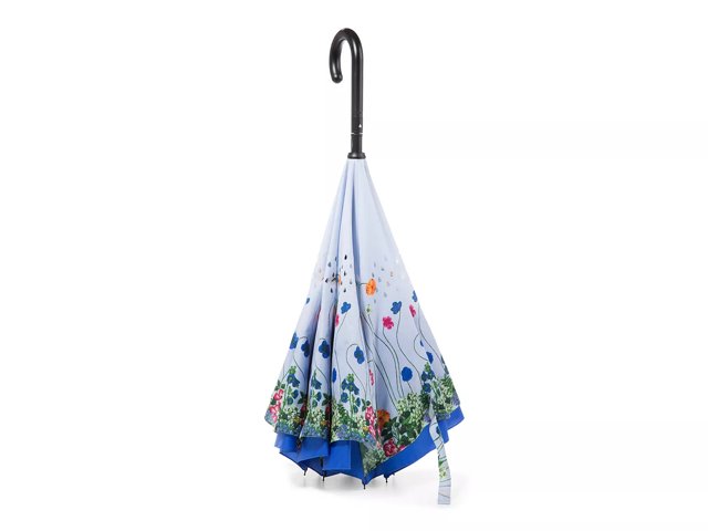 Dsw free umbrella 2019 sale