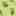 Tutsi Mule Green view