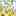 Pearrl Espadrille Wedge Sandal Yellow view
