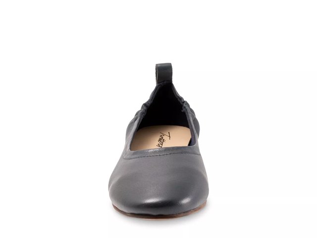 Dsw trotters shop
