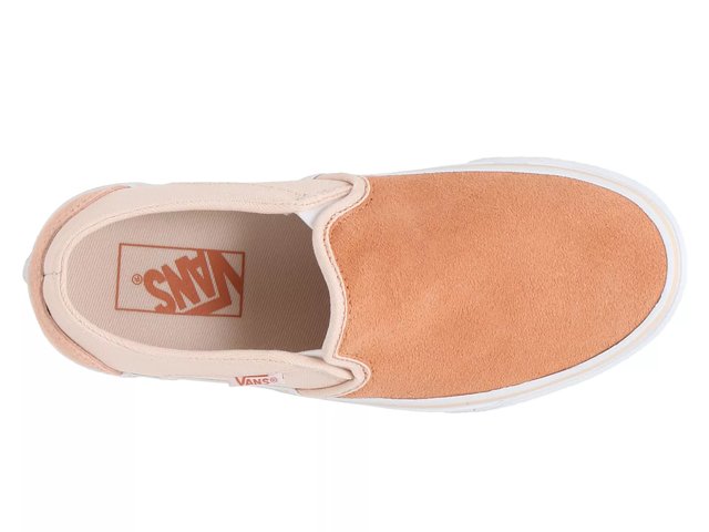 Vans asher rose online