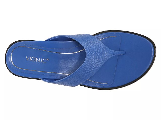 Vionic blue sandals sales