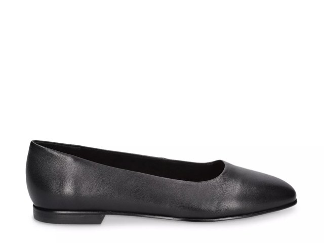Dsw black pointed flats on sale