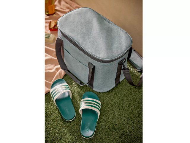 Dsw lunch tote 2025