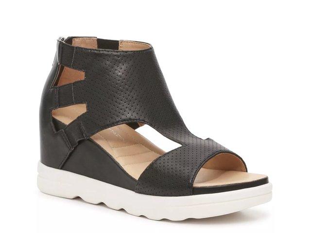 Dsw adrienne vittadini 2025