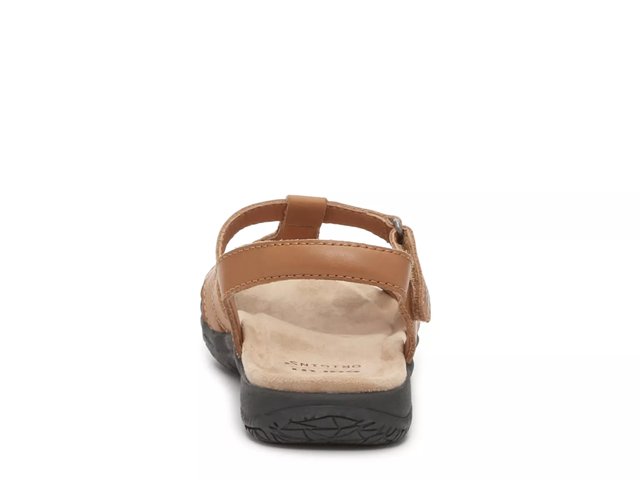 Earth origins savoy sheva store