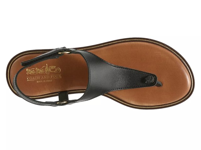 Coach flip flops dsw discount