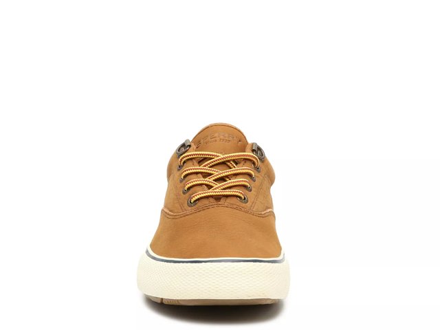 Sperry Striper Storm Sneaker Men s