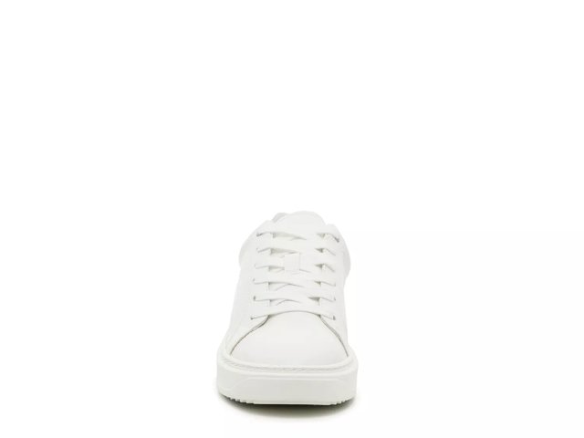 Steve madden discount cole sneakers