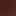 Lara Mary Jane Flat Dark Brown view