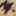Halyard CVO Sneaker Tan Multicolor view