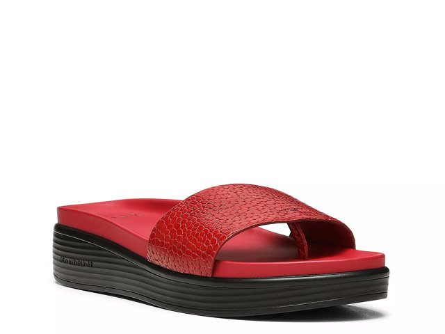 Dsw donald hot sale pliner