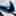 Initiator Trainer Running Shoe - Men's  view