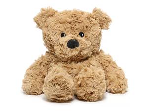 Warming deals teddy bear