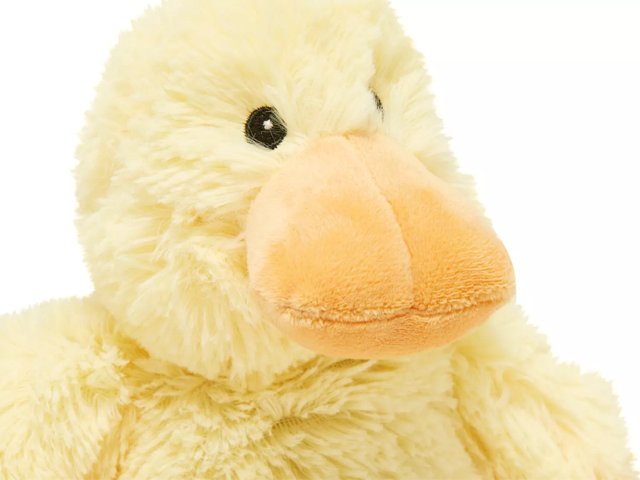Warmies duck sales