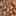 Vina Sandal Tan Snake Print view