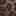 Northbound Chelsea Boot Brown/Black Leopard Print Fabric view