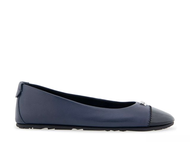 Cole haan ballet flats dsw best sale