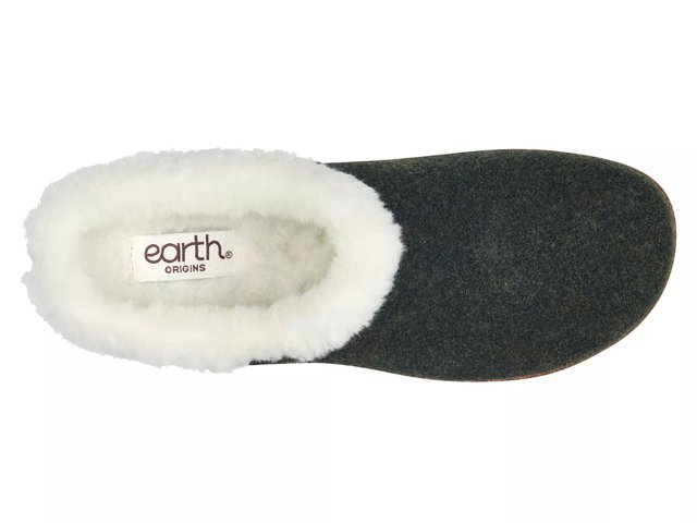 Earth Elena 2 Clog - Free Shipping | DSW